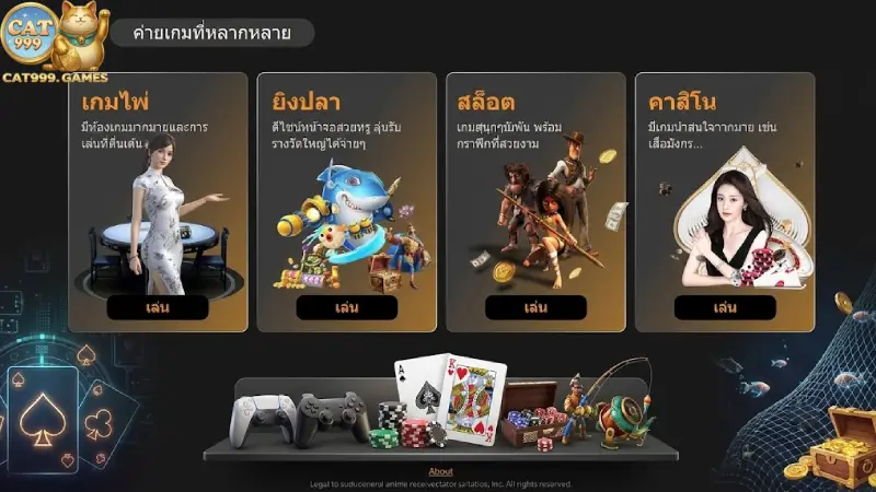 มาตรฐานการบริการและความบันเทิงที่หลากหลาย cat999